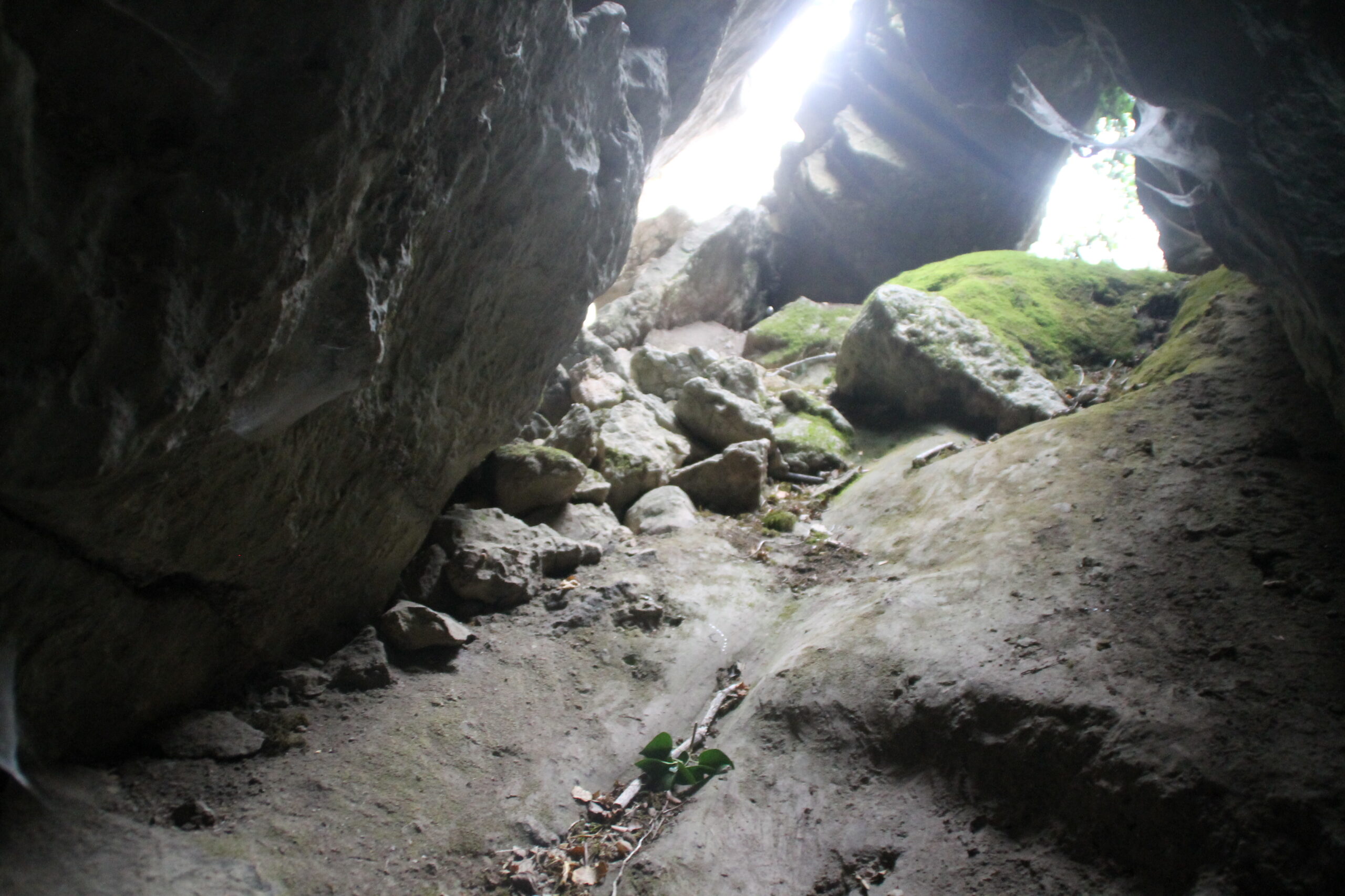 Entrada a la cueva del toro